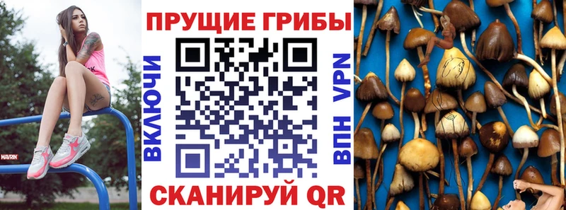 Галлюциногенные грибы ЛСД Коркино
