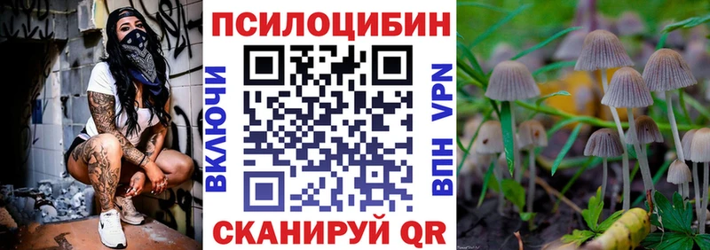 купить   Коркино  Галлюциногенные грибы GOLDEN TEACHER 